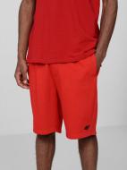 Шорти 4F H4L22-SKMD350-62S р. 3XL червоний