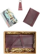 Набір подарунковий BlankNote Венеція Crazy Horse бордовий BN-set-travel-2-kr