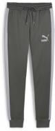 Брюки Puma T7 ICONIC TRACK PANTS (S) PT 53948580 р. M серый