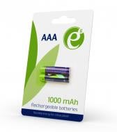 Батарейки EnerGenie Ni-MH HR03/AAA AAA (мізинчикові) 2 шт. (EG-BA-AAA10-01)