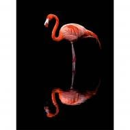 Картина по номерам Strateg Фламинго на черном фоне 30х40 см FH-36 Картина по номерам Strateg Фламинго на черном фоне 30х40 см FH-36
