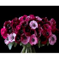 Картина по номерам Strateg Красные анемоны на черном фоне 40х50 см AH1288 Картина по номерам Strateg Красные анемоны на черном фоне 40х50 см AH1288