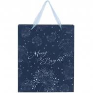 Пакет подарунковий 25х19 см Flower Symphony-4 Axent Пакет подарунковий 25х19 см Flower Symphony-4 Axent