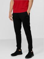 Брюки 4F H4L22-SPMD350-20S р. S черный