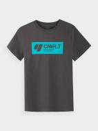 Футболка 4F J4L21-JTSM209C-22S серый