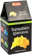 Наукова гра Ранок Вирощуємо кристали жовті 339