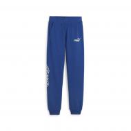 Брюки Puma ESS+ MID 90S PANTS TR B 67924617 р. 152 синий