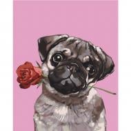 Раскраска по номерам Strateg Мопс с розой 30х40 см SS-6403