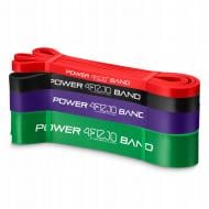 Резинка для фитнеса 4fizjo Power Band 6-36 кг 4 шт. Mix (P-5907222931844) 4FJ0063