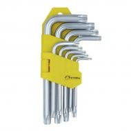 Набор ключей шестигранных Сталь с отверствием TORX 48104