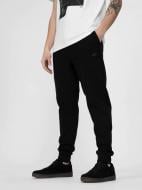 Брюки 4F H4L22-SPMD012-20S р. 2XL черный
