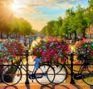 Репродукція Amsterdam 2 80x80 см RozenfeldArt