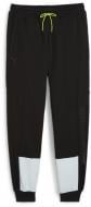 Брюки Puma AMG STATEMENT PANTS 62371301 р. S черный Брюки Puma AMG STATEMENT PANTS 62371301 р. S черный