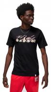 Футболка Jordan FLTESSRINGSSSCRE FN5966-010 р.M разноцветный