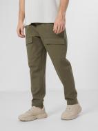 Брюки Outhorn TROUSERS CAS M039 OTHAW22TTROM039-43S р. S зеленый