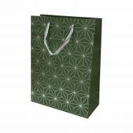 Пакет бумажный L крафтовый 38х28х12,5 зелёный з тиснением