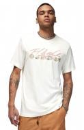 Футболка Jordan FLTESSRINGSSSCRE FN5966-133 р.XL бежевий