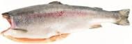 Форель без головы, замороженная методом IQF, 0,9–1,8 кг
