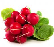 Редис пучок