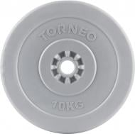 Диск Torneo для грифа 10 кг 1008-100 Диск Torneo для грифа 10 кг 1008-100