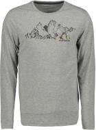 Футболка Icepeak ICEPEAK BARODA 57747_624_I_205 р.48 серый
