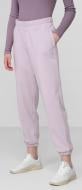 Брюки 4F H4L22-SPDD013-52S р. 2XL фиолетовый