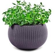 Горщик пластиковий Keter Cozies M овальний фіолетовий