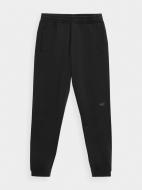 Брюки 4F H4L22-SPMD013-22S р. 2XL черный