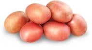 Картофель розовая