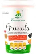 Гранола ТЕРРА з апельсиновими цукатами, банановими чіпсами та темним шоколадом 50 г 50 г