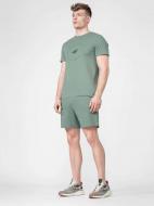 Шорты 4F H4L22-SKMD015-47S р. 3XL мятный