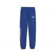 Брюки Puma ESS+ MID 90S PANTS TR B 67924617 р. 140 синий