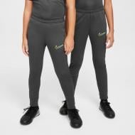 Брюки Nike DX5490-061 р. S серый