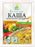 Каша овсяная ТЕРРА с манго, киви и ананасом мгновенного приготовления 38 г 38 г (989)