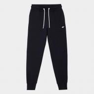 Штани 4F NOSD4-SPDD300-31S р. XS синій Штани 4F NOSD4-SPDD300-31S р. XS синій