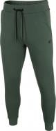 Брюки 4F NOSD4-SPMD301-046S р. 2XL бирюзовый