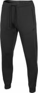 Брюки 4F NOSD4-SPMTR300-21M р. 3XL черный