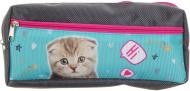 Пенал школьный на два отделения Котик, привет серый