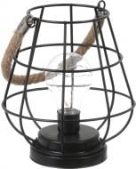 Лампа-светильник LED CFZL-DY037 16,5x18 см