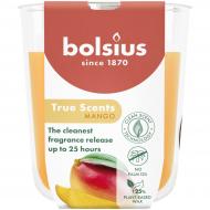 Свеча ароматическая Bolsius TRUE SCENT в стекле 80/73 аромат Манго