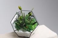 Флорариум Весенняя свежесть (с живыми стабилизированными цветами S) FL.1.87