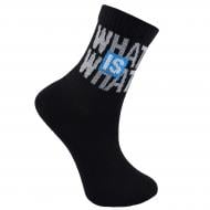 Шкарпетки підліткові унісекс Premier Socks WHAT is WHAT р. 20–22 чорний
