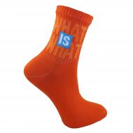 Носки подростковые унисекс Premier Socks WHAT is WHAT р. 20–22 оранжевый