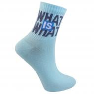 Носки подростковые унисекс Premier Socks WHAT is WHAT р. 18–20 голубой