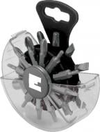 Набор бит Einhell в пластиковом кейсе 23 шт. 4258073