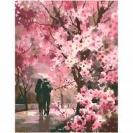 Картина за номерами Прогулянка вдвох 35x45 см Rosa Start