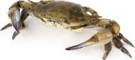 Краб блакитний заморожений SEAFOOD 1 кг