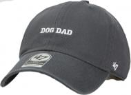 Кепка 47 Brand PHRASE BASE RUNNER ICON BSRIC1411GWS-VNC OS сірий Кепка 47 Brand PHRASE BASE RUNNER ICON BSRIC1411GWS-VNC OS сірий