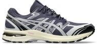 Кроссовки мужские демисезонные Asics GEL-TERRAIN 1203A342-501 р.46,5 синие с серым