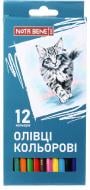 Карандаши цветные пластик 12 шт. Nota Bene